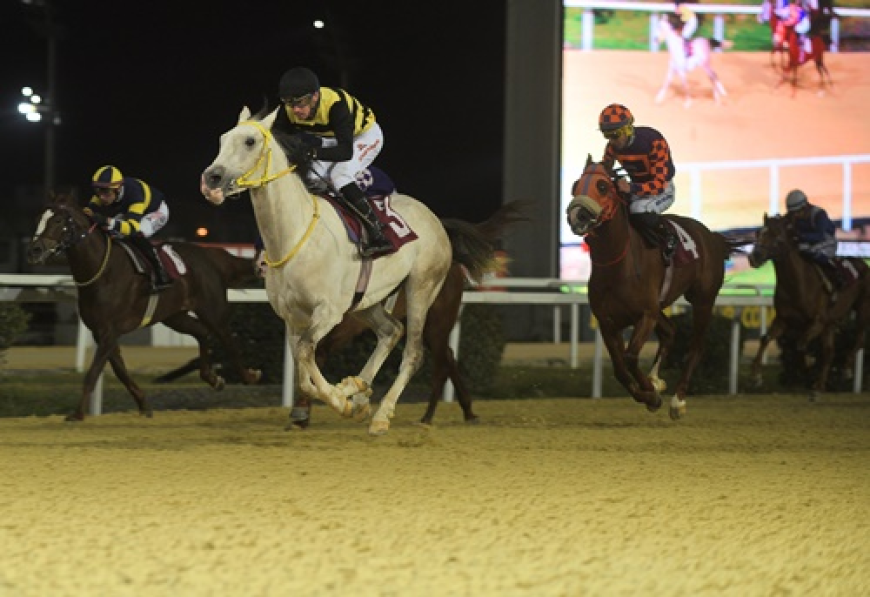 Orhan Tanatar Koşusu'nda Zafere By Türkoğlu Ulaştı