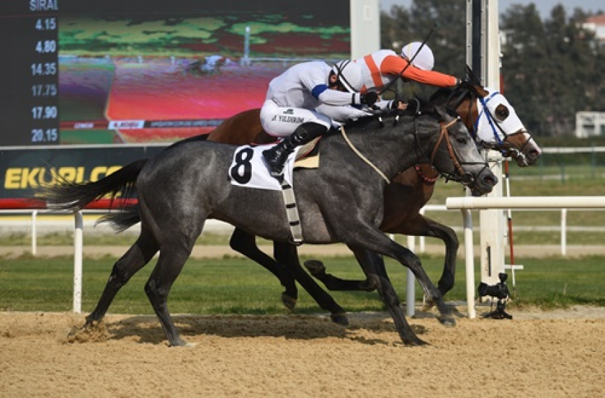 Hipodrom.com Ege Derbisi'nin Şampiyonu The Protecter Oldu