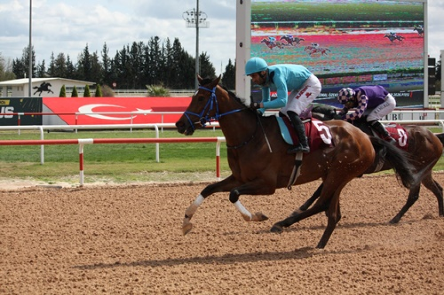 Kemal Özekici Koşusu'nda Zafer Prenses Sylvester'ın Oldu