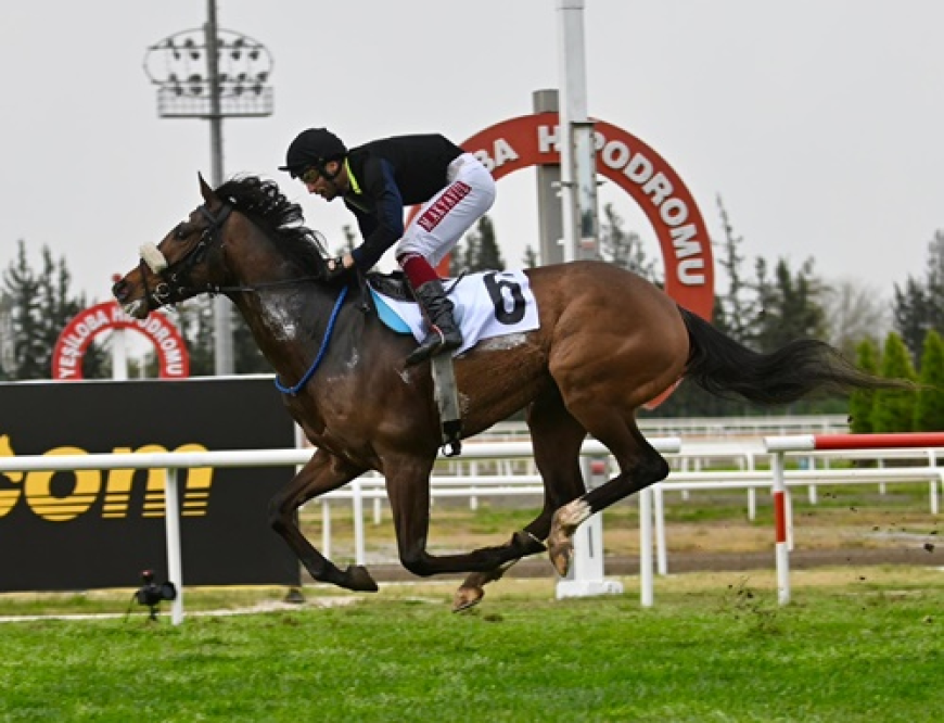 Tendürek Koşusu'nda Zafere Massimo Supremo Ulaştı