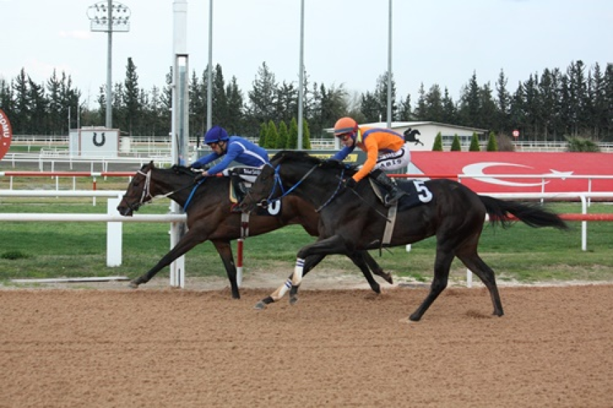 Sarıçam Belediye Başkanlığı Koşusu'nda Zafer Money Well Spent'in Oldu