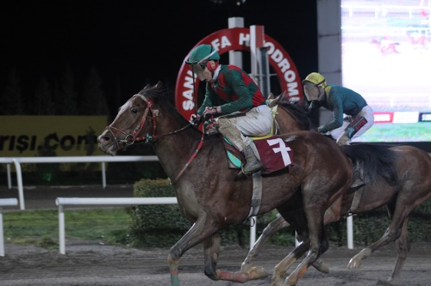 Siverek Belediye Başkanlığı Koşusu'nun Kazananı Payidar Kaya Oldu