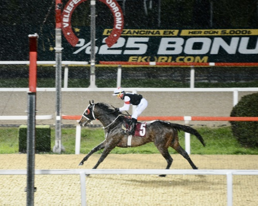 Mustafa Alver Koşusu'nda Zafer Hope Breeze'in Oldu