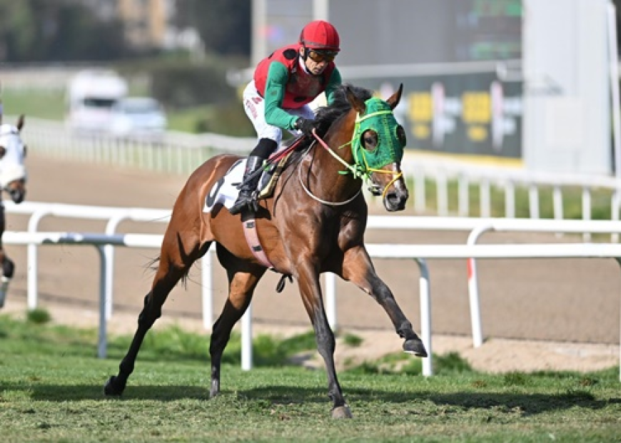 Fevzi Lütfi Karaosmanoğlu Koşusu'nda Zafere Kralın Dansı Ulaştı