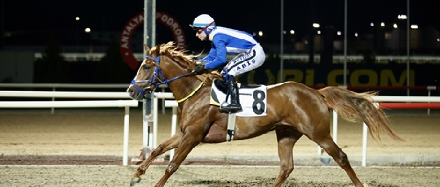 İlk Kez Düzenlenen Aspendos Koşusu'nda Tarihi Zafer Metincim'in Oldu