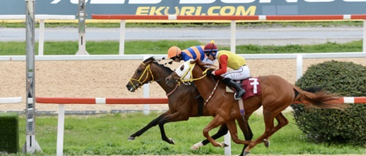 İbrahim Hilmi Narmanlı Koşusu'nda Zafere Rand Al Thor Ulaştı