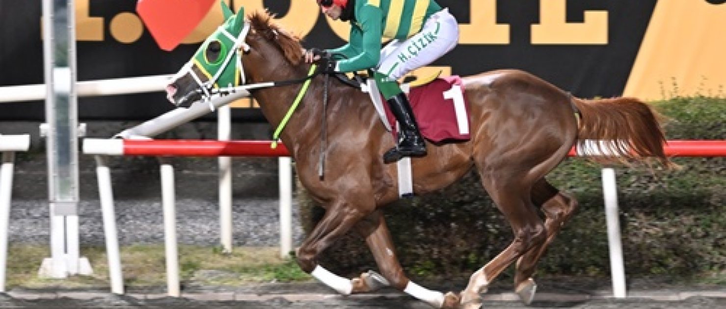 Elazığ Jandarma Koşusu'nda Zafer Herzaman'ın Oldu