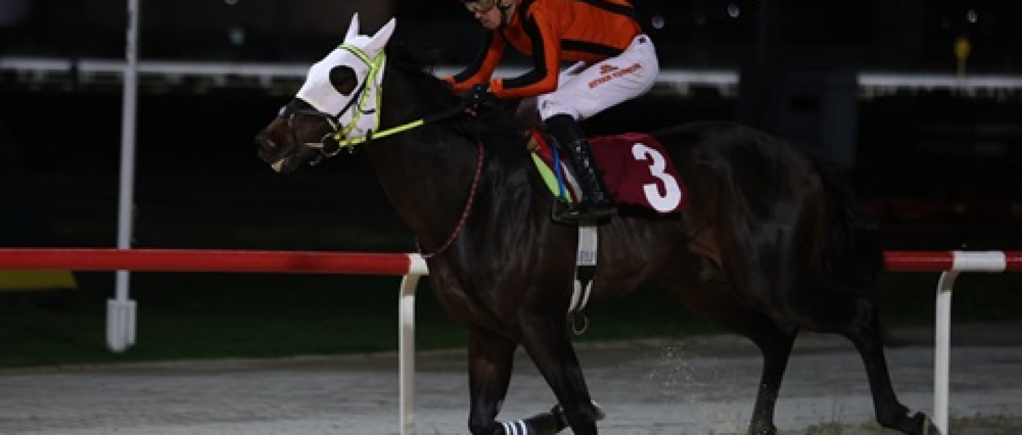 Döşemealtı Belediyesi Koşusu'nda Zafer Sercan Bey'in Oldu