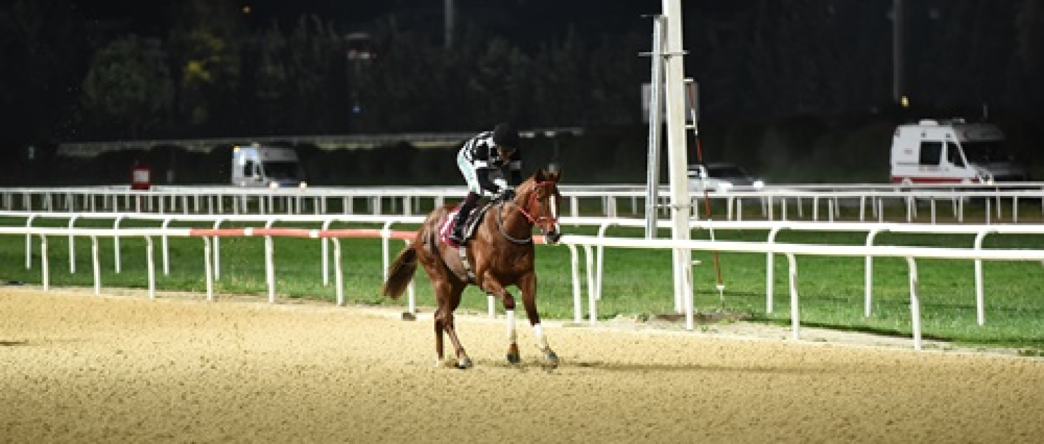 Gür Özbelge Koşusu'nda Kazanan Hard Runner Oldu