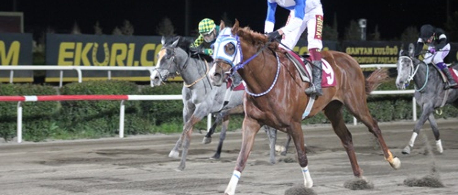 Gap Koşusu'nda Zafere The Hocus Ulaştı