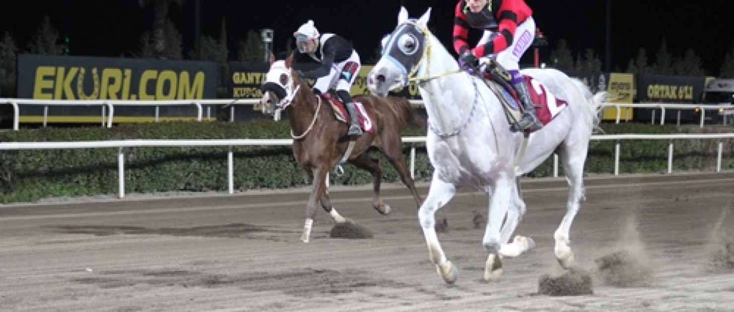 Şanlıurfa'nın Kurtuluşu Koşusu'nda Zafer Anadolu Gücü'nün Oldu