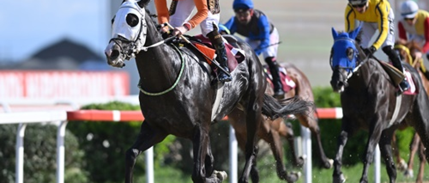 İstanbul Emniyet Müdürlüğü Koşusu'nda Zafer Mucho Bueno'nun Oldu