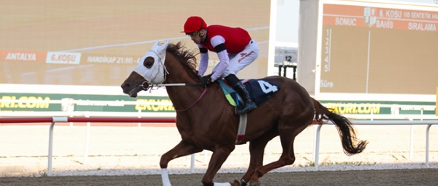 Antalya Emniyet Müdürlüğü Koşusu'nda Address Rüzgarı Esti!