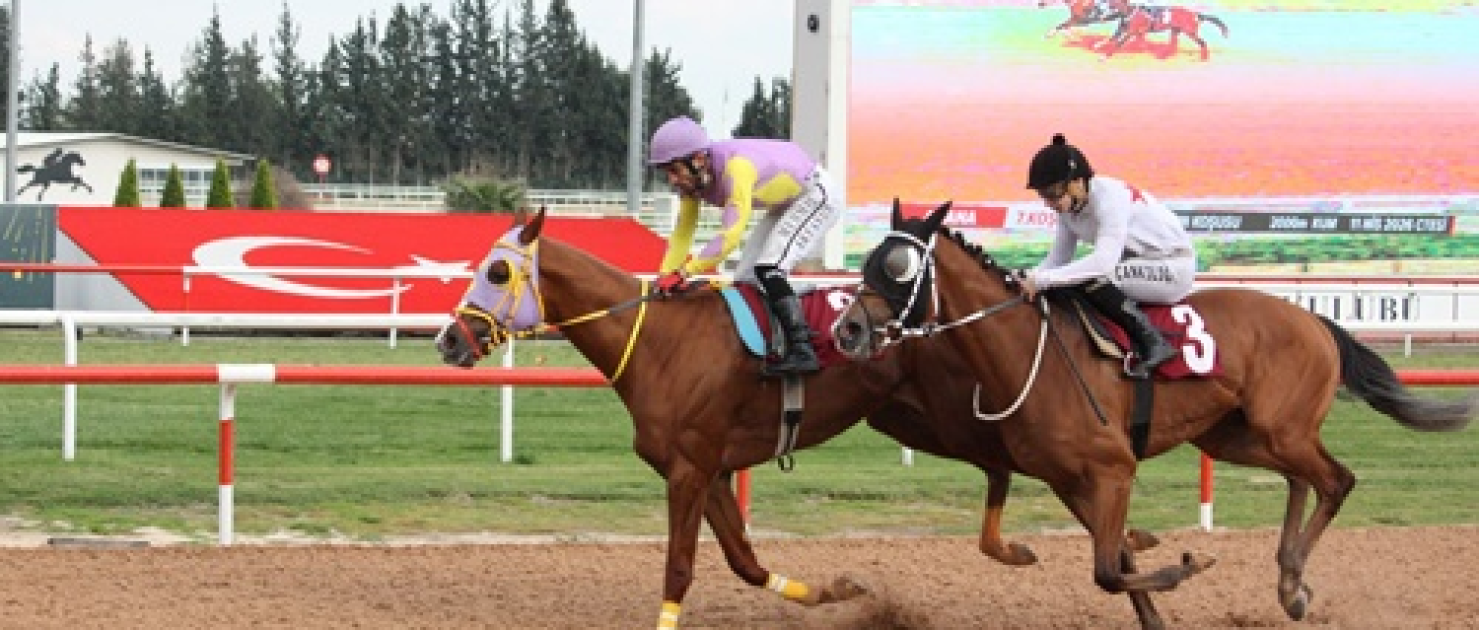 Ali Rıza Ongun Koşusu'nda Zafer Empire Man'in Oldu