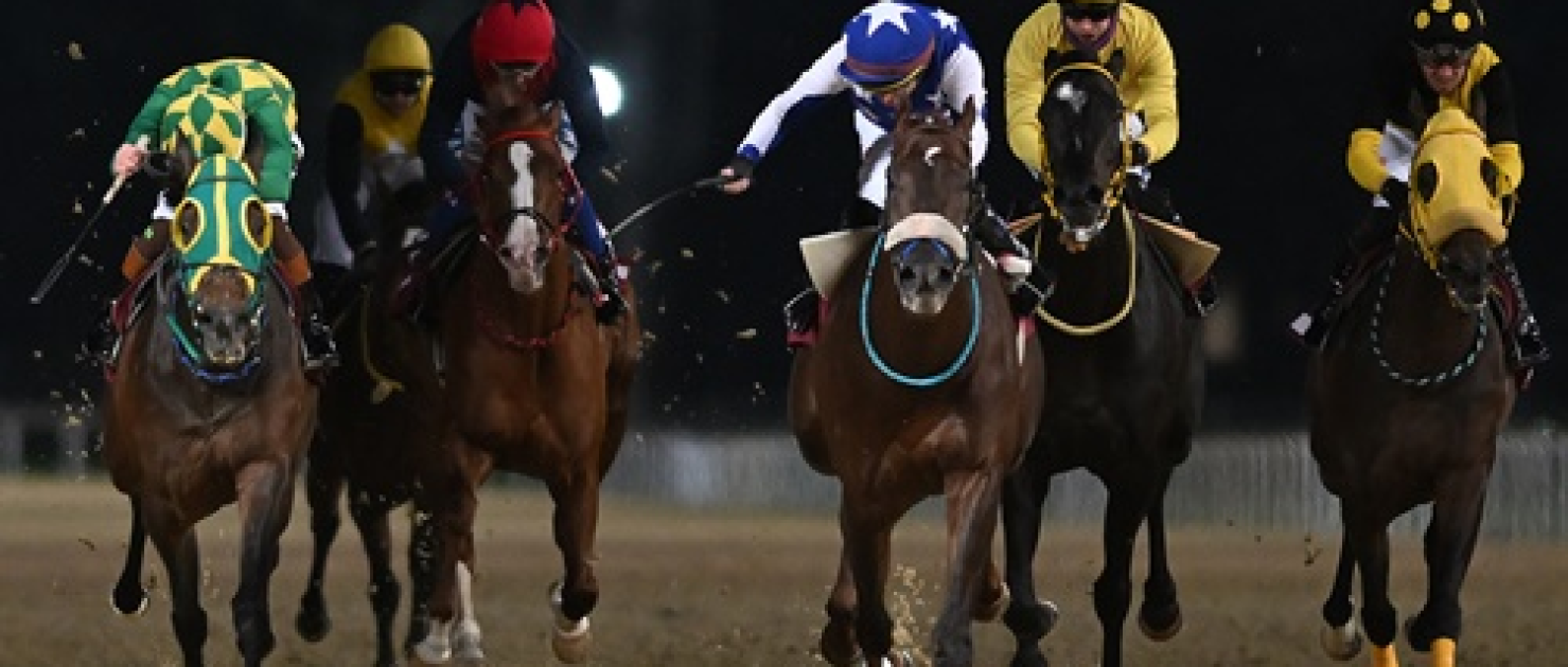 Dr. Ergon Mengi Koşusu'nda Zafer Ammayaman'ın Oldu