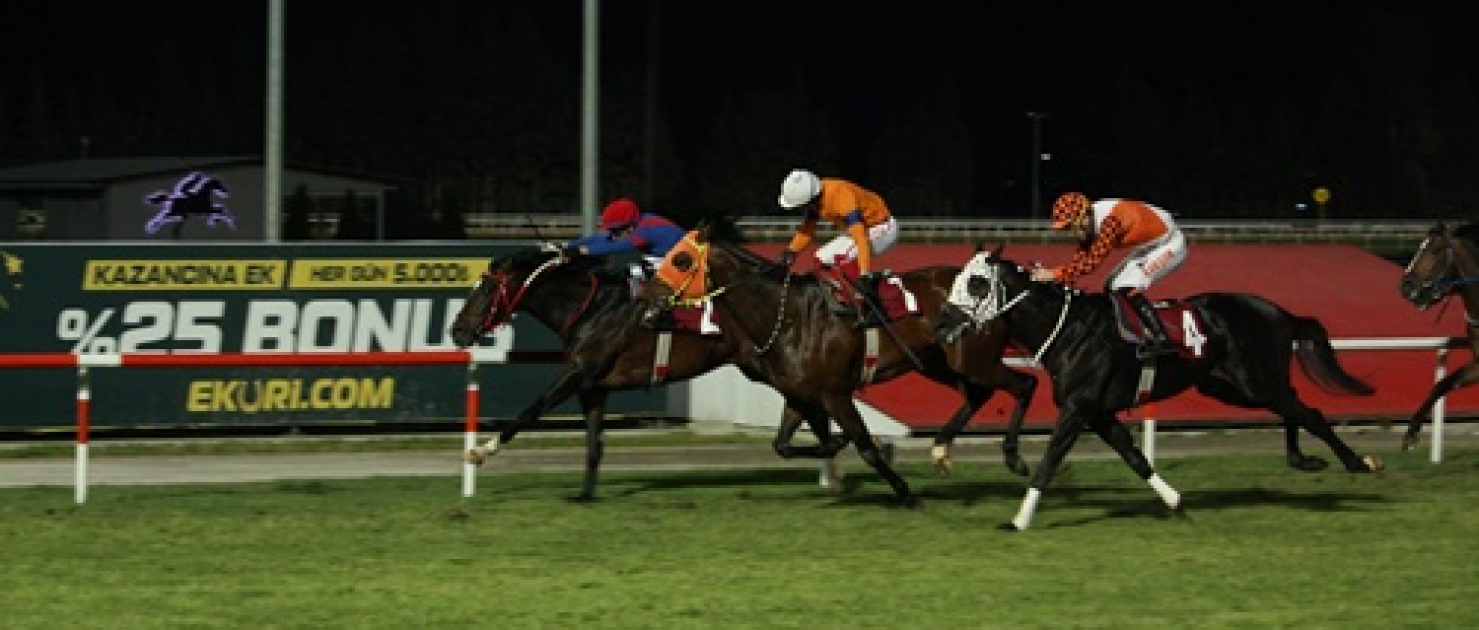 Adana Emniyet Müdürlüğü Koşusu'nda Zafer Broarts'ın Oldu