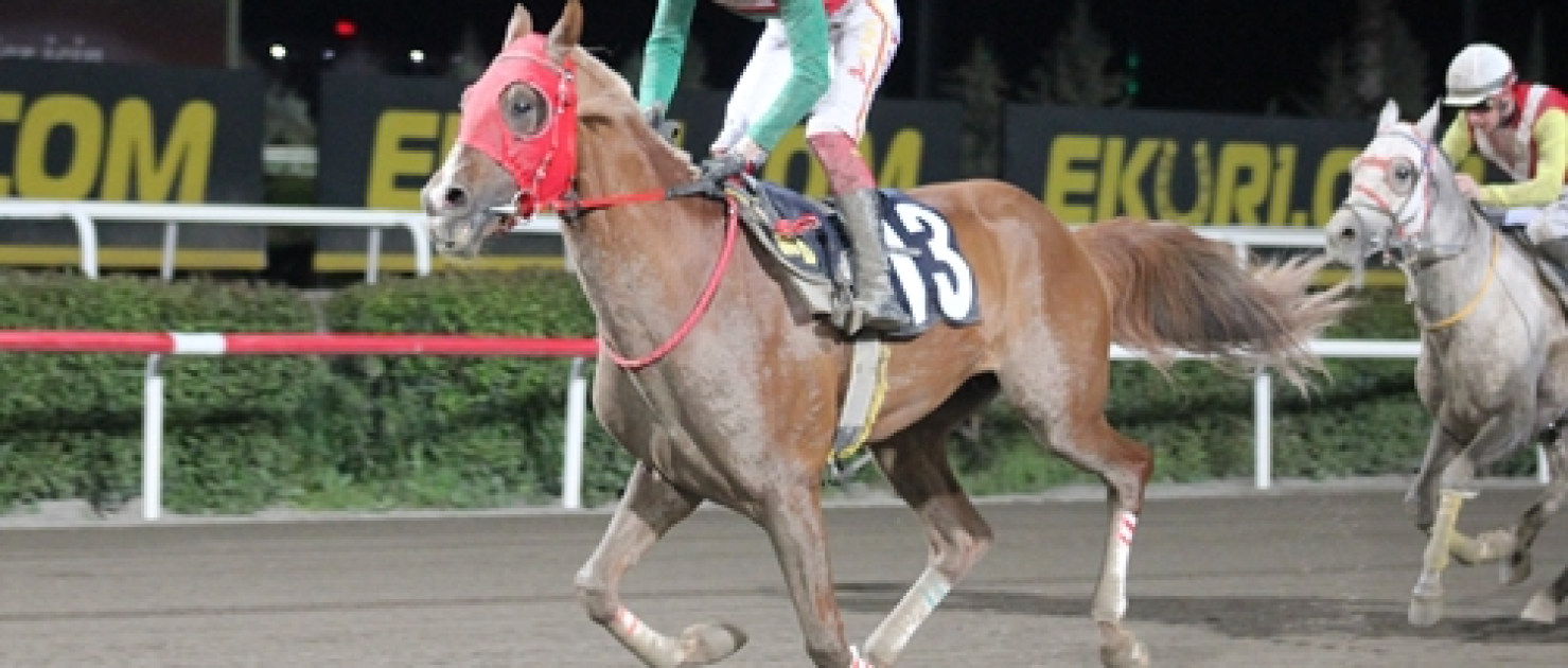 Şanlıurfa Ticaret Borsası Koşusu'nda Zafere Akolhan Ulaştı