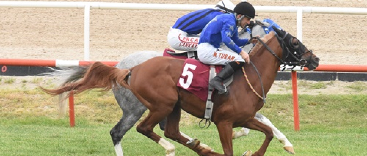 Mustafa Kavçın Koşusu'nda Zafere Cebeltuna Ulaştı