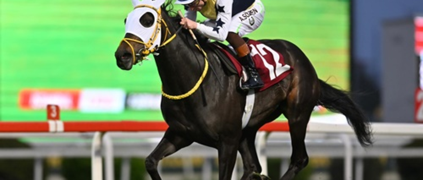 F. Derya Beşikçi Koşusu'nda Zafere Star Runner Uzandı