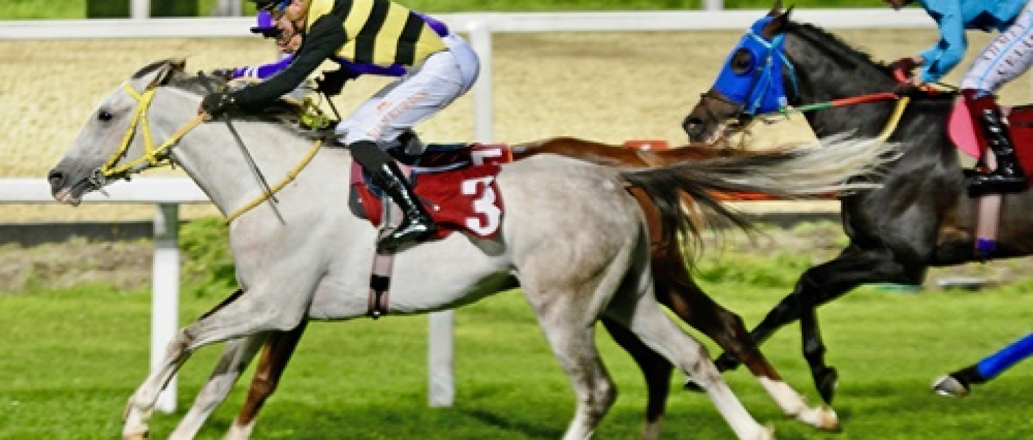 Attila Midillili Koşusu'nda Formda Safkan By Türkoğlu'ndan Üst Üste 5. Zafer!