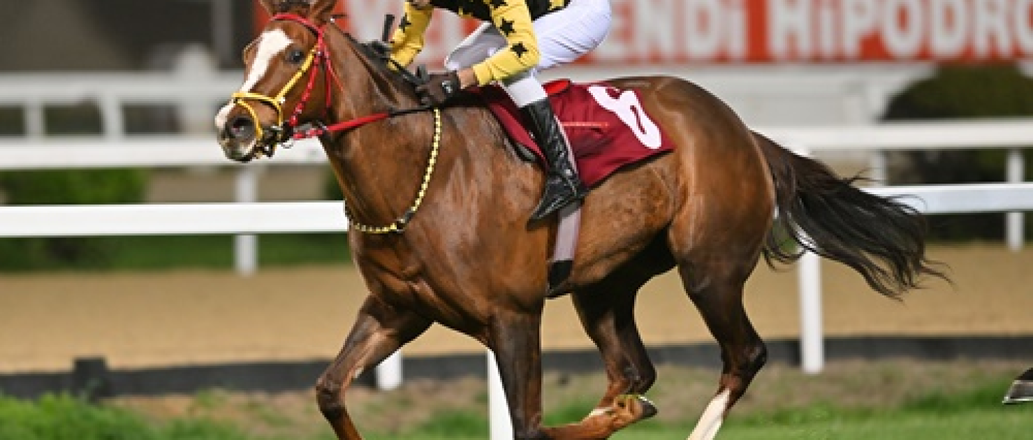 N. Arek Kuyumciyan Koşusu'nda Zafere Amazing Touch Uzandı