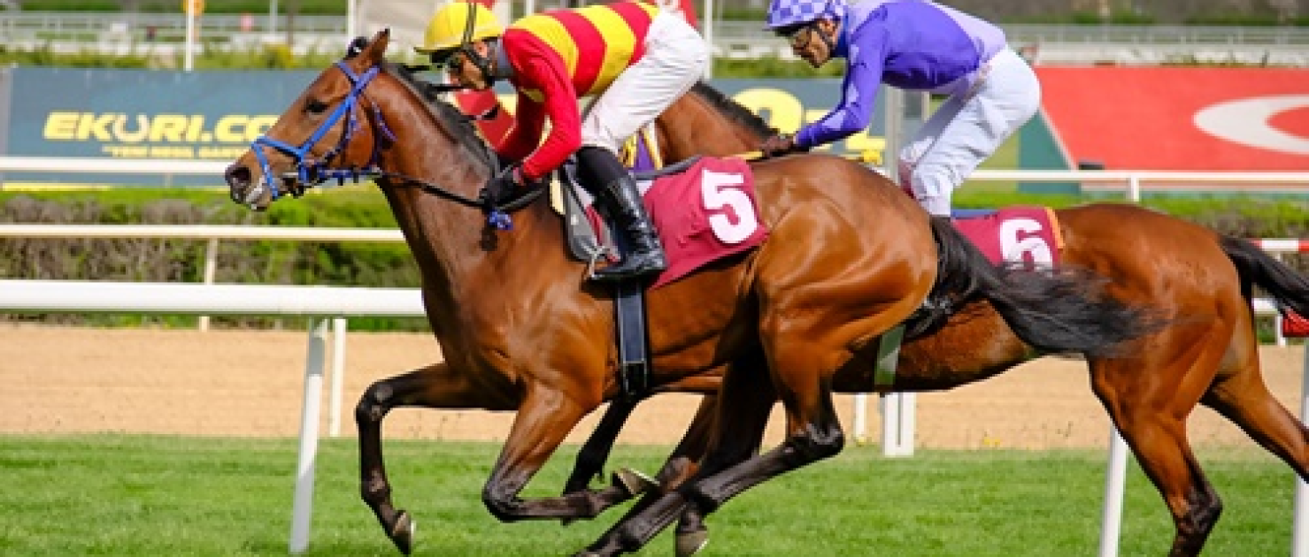 Ankara'da Upamecano Rüzgarı: Ali Orhan Birol Koşusu'nda Geçilmezlik Serisi Sürdü