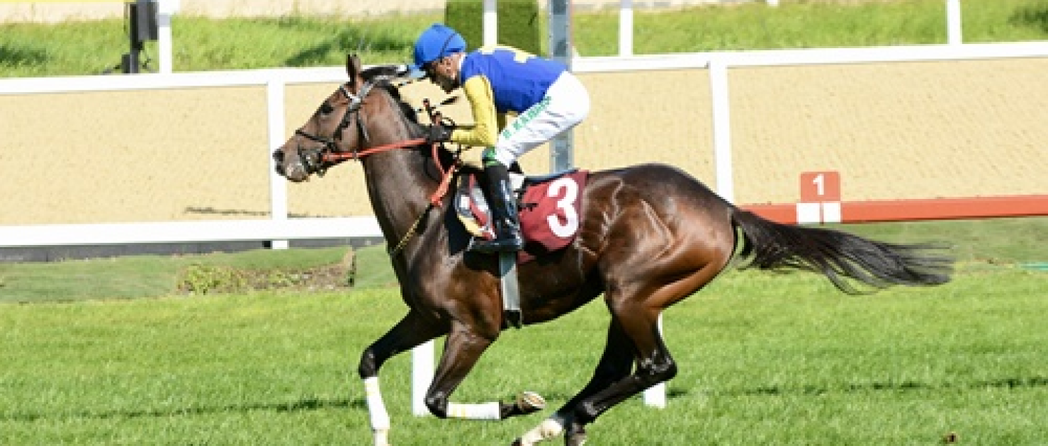 Tevfik Çelikoğlu Koşusu'nda Çim Pistin Kazananı Power Song Oldu