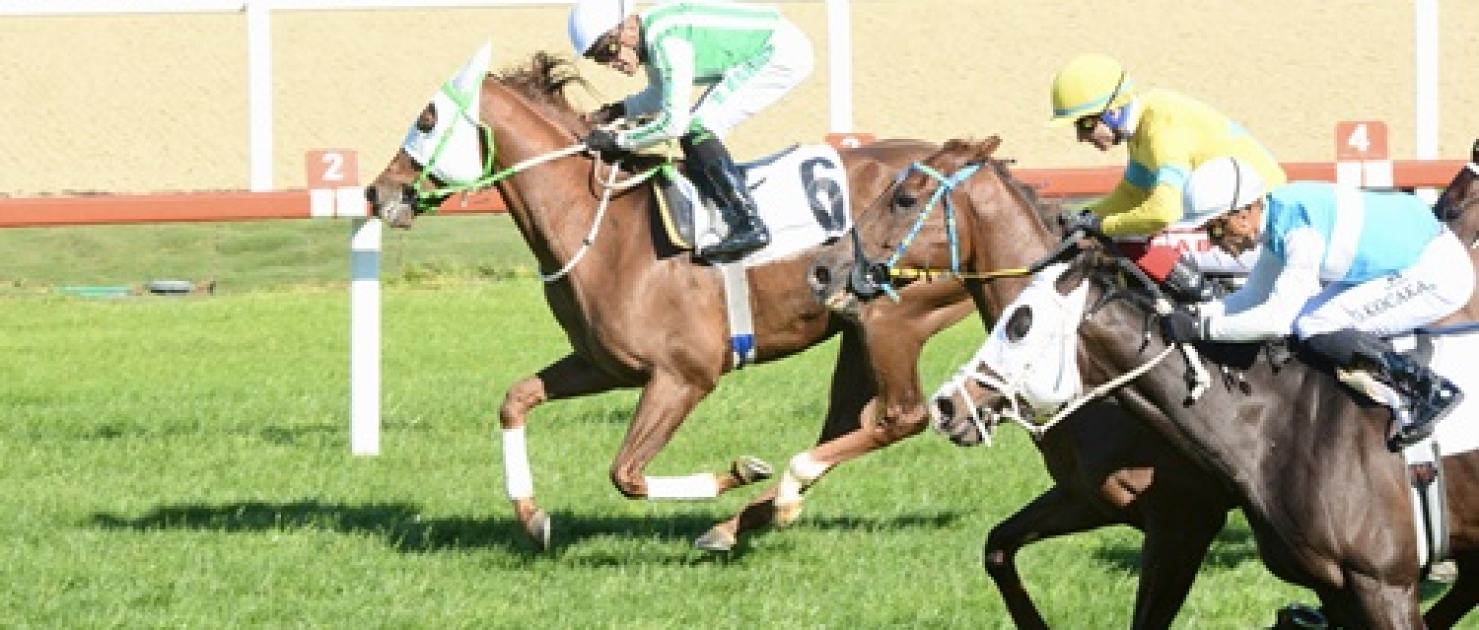 Ali Doğan Ünlü Koşusu'nda Usta Jokeyiyle Kazanan Tonbi Oldu