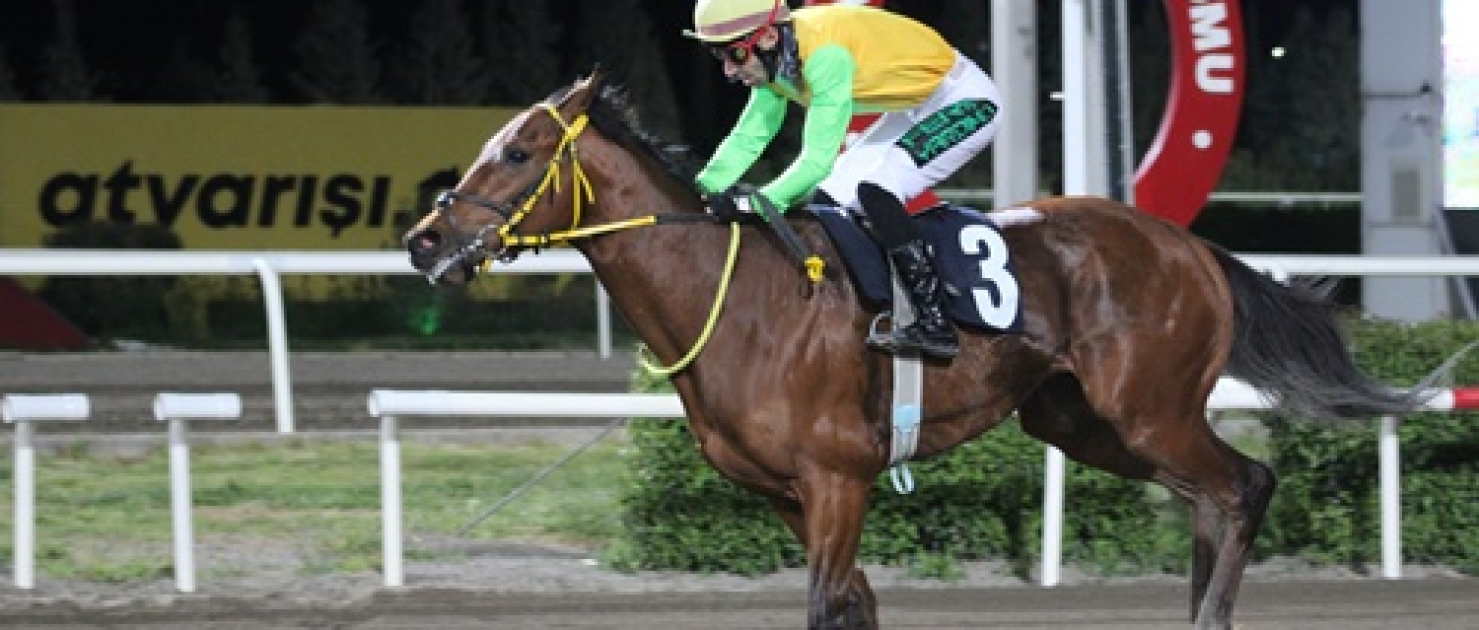 Harran Üniversitesi Koşusu'nda Zafer King Ferit'in Oldu