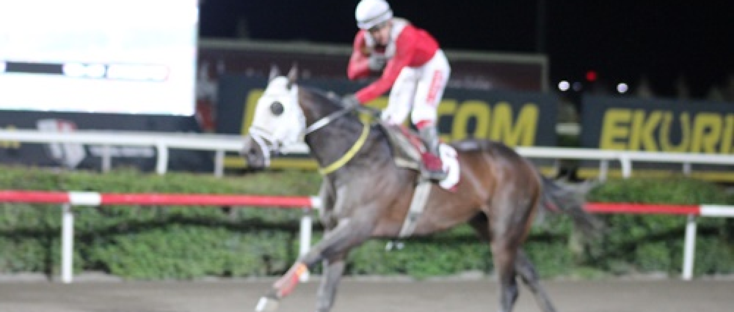 Şanlıurfa Veteriner Hekimleri Odası Koşusu'nda Zafer King Ova'nın Oldu