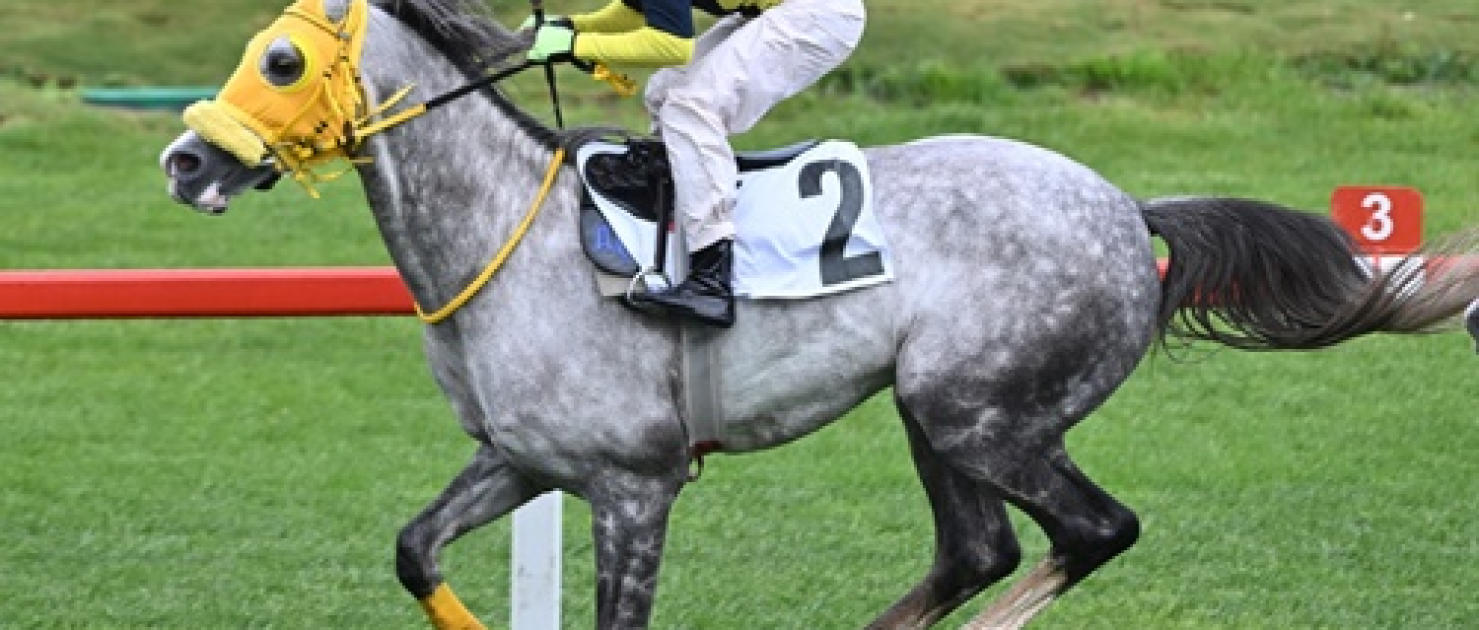 23 Nisan Koşusu'nda Tarihi Başarı: Deniz Efe Üst Üste Üçüncü Kez Kazandı!