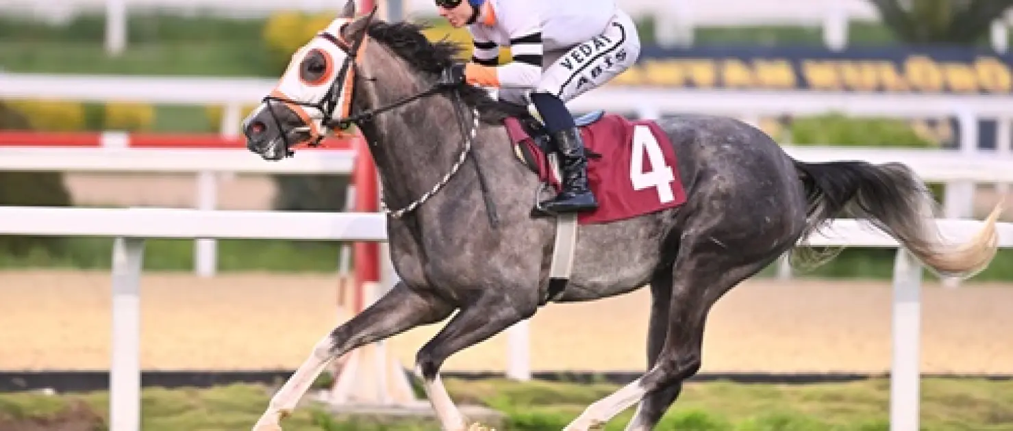 Türk Kalp Vakfı Koşusu'nda Zafere Ulaşan Erdek Oldu