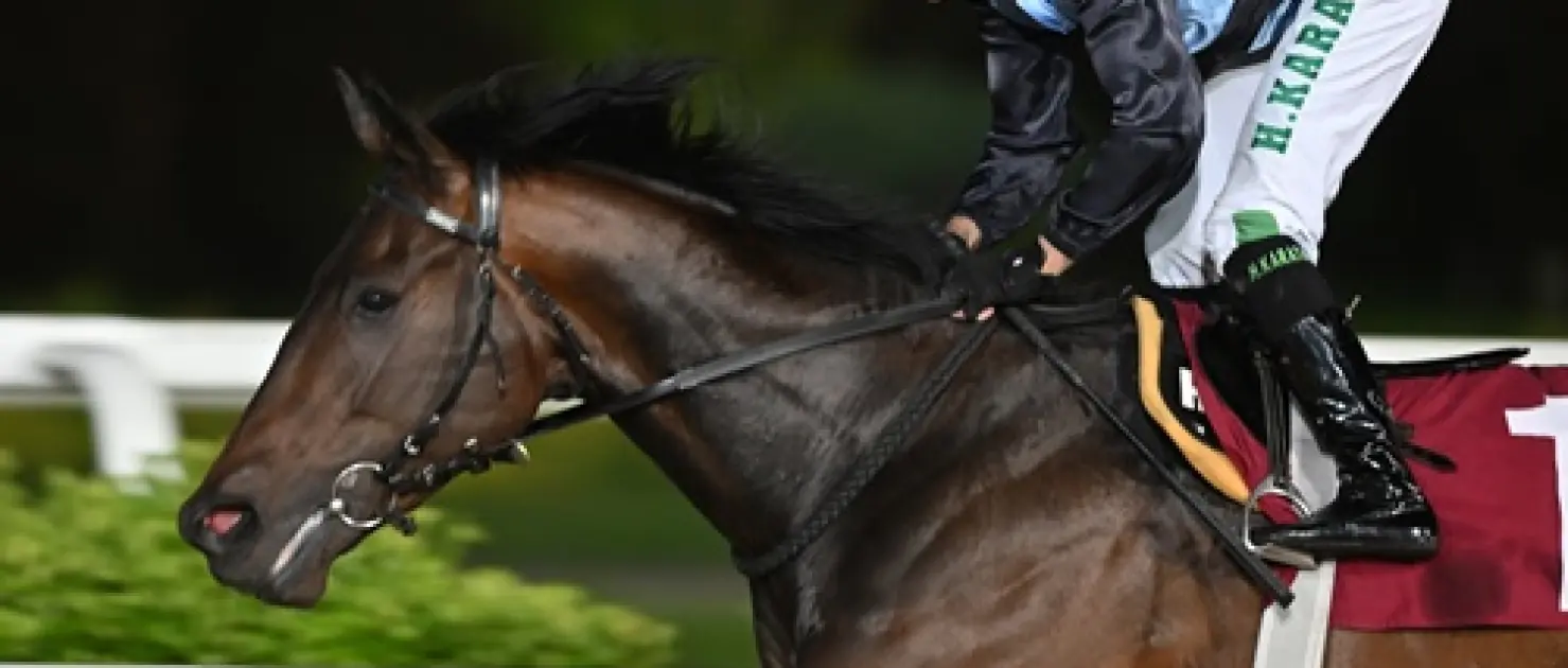 Vural C. Çakım Koşusu'nda Zafere Statue of Liberty Uzandı