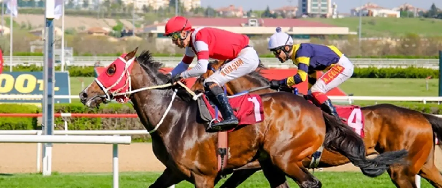 Dünya Veteriner Hekimler Günü Koşusu'nda Zafere Altınsima Ulaştı