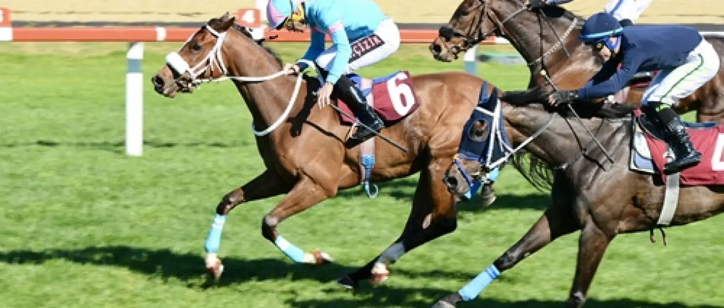 Kadir Keçelioğlu Koşusu'nda Zafere Gold Flower Uzandı