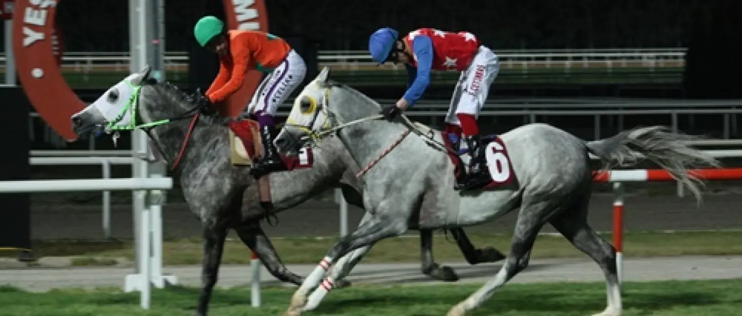 Olimpiyat Şampiyonu İsmet Atlı Koşusu'nda Zafere Saçanşah Uzandı