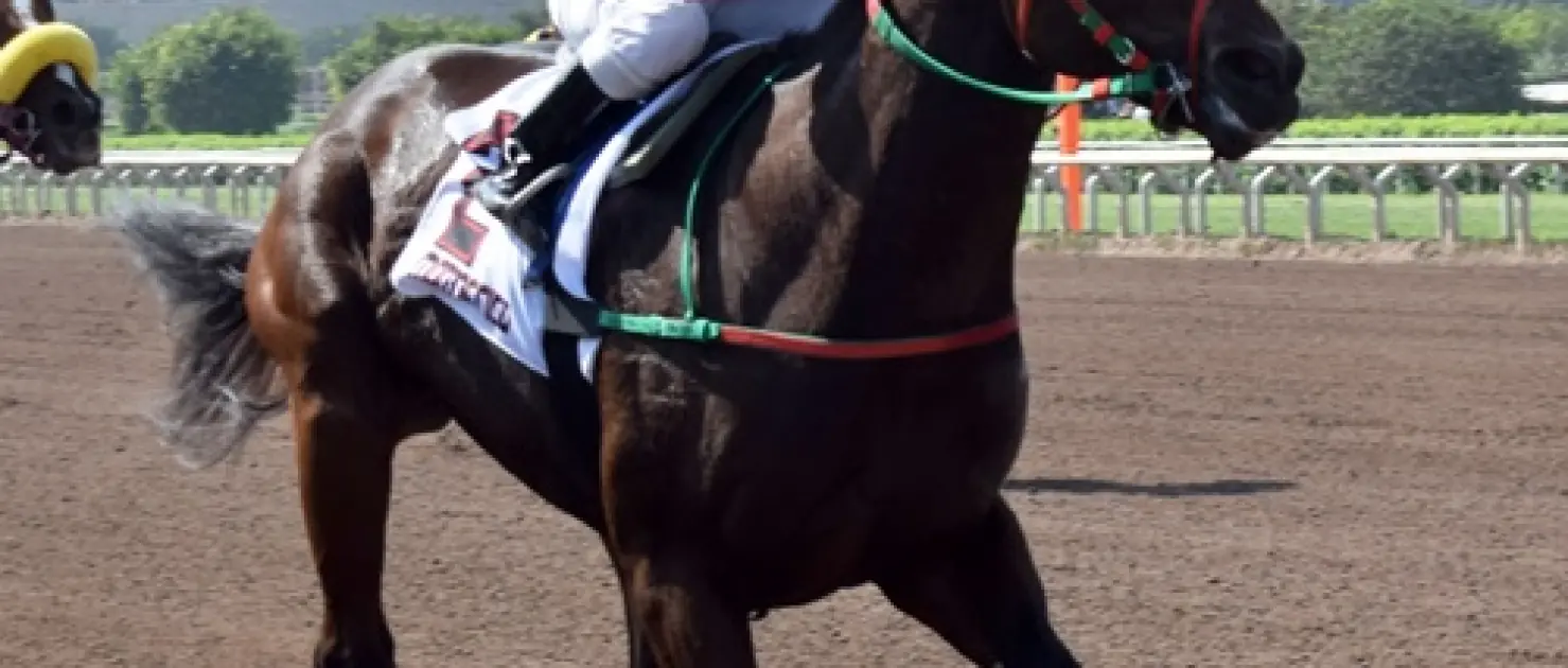 Peru'daki TJK Koşusu'nda Zafer El Kamuro'nun Oldu