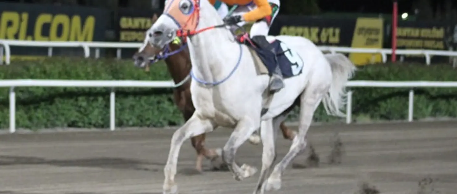 Şanlıurfa İl Emniyet Müdürlüğü Koşusu'nda Zafer Muşfırtınası'nın Oldu