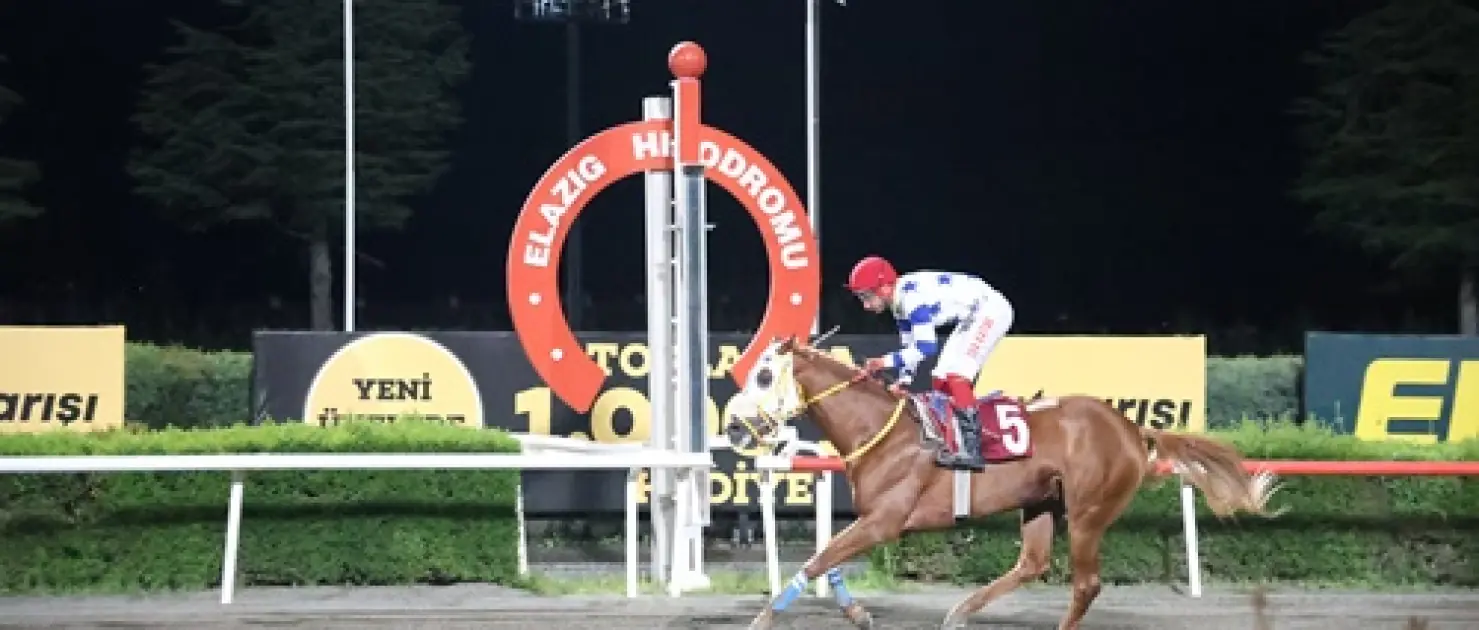 Mustafa Ergin Koşusu'nda Zafere Sehhar Uzandı