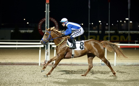 İlk Kez Düzenlenen Aspendos Koşusu'nda Tarihi Zafer Metincim'in Oldu