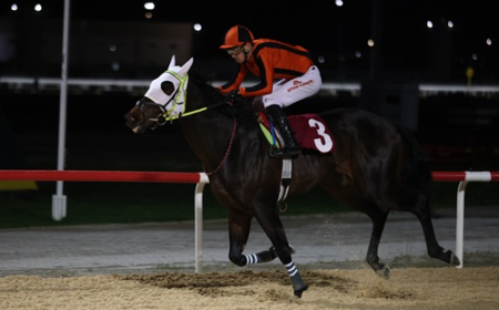 Döşemealtı Belediyesi Koşusu'nda Zafer Sercan Bey'in Oldu