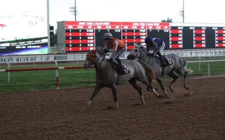 Yasin Milli Koşusu'nda Zafere Endorfin Ulaştı