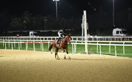 Gür Özbelge Koşusu'nda Kazanan Hard Runner Oldu