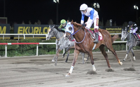 Gap Koşusu'nda Zafere The Hocus Ulaştı