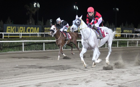 Şanlıurfa'nın Kurtuluşu Koşusu'nda Zafer Anadolu Gücü'nün Oldu