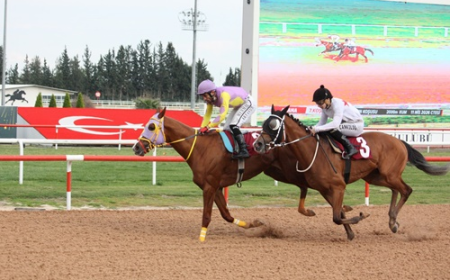 Ali Rıza Ongun Koşusu'nda Zafer Empire Man'in Oldu