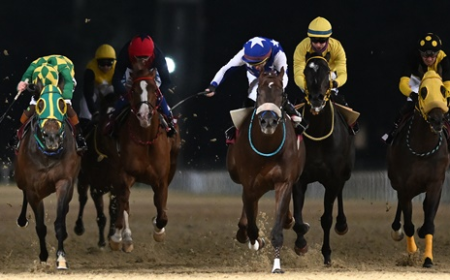 Dr. Ergon Mengi Koşusu'nda Zafer Ammayaman'ın Oldu