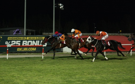 Adana Emniyet Müdürlüğü Koşusu'nda Zafer Broarts'ın Oldu