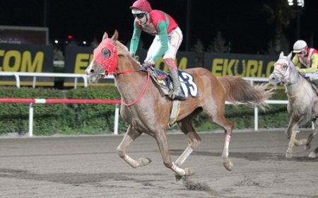 Şanlıurfa Ticaret Borsası Koşusu'nda Zafere Akolhan Ulaştı