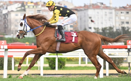 Gazi Koşusu Yolunda İlk Prova: Ergin Talay Koşusu'nu Namağlup Wolf Rules Kazandı!